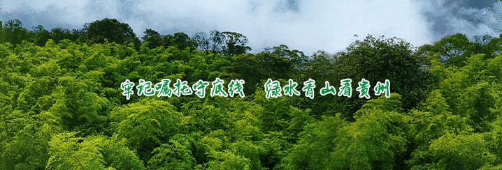 新立讯一科技改变未来