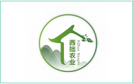 新立讯一科技改变未来